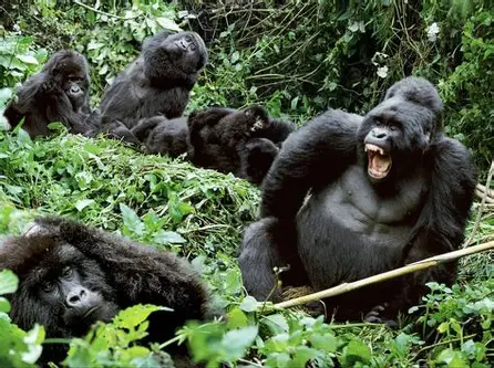 Explore Uganda
